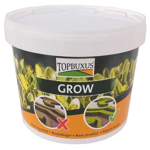 1 Litre 20-30cm Pot Grown Buxus Sempervirens Box Hedging 